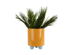 Plant pot Funky Mango