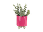 Plant Pot Double Funky Small