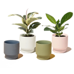 Casey, 5" Pot & Saucer: Pink Blush