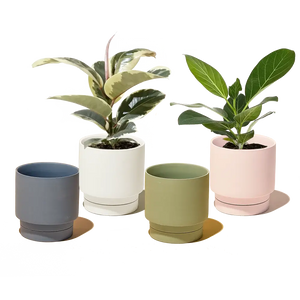 Casey, 5" Pot & Saucer: Pink Blush