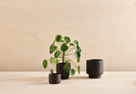 BOTANY porcelain plant pot LARGE: Dark Terracotta