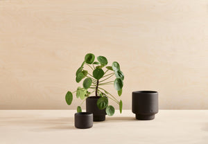 BOTANY porcelain plant pot LARGE: Dark Terracotta