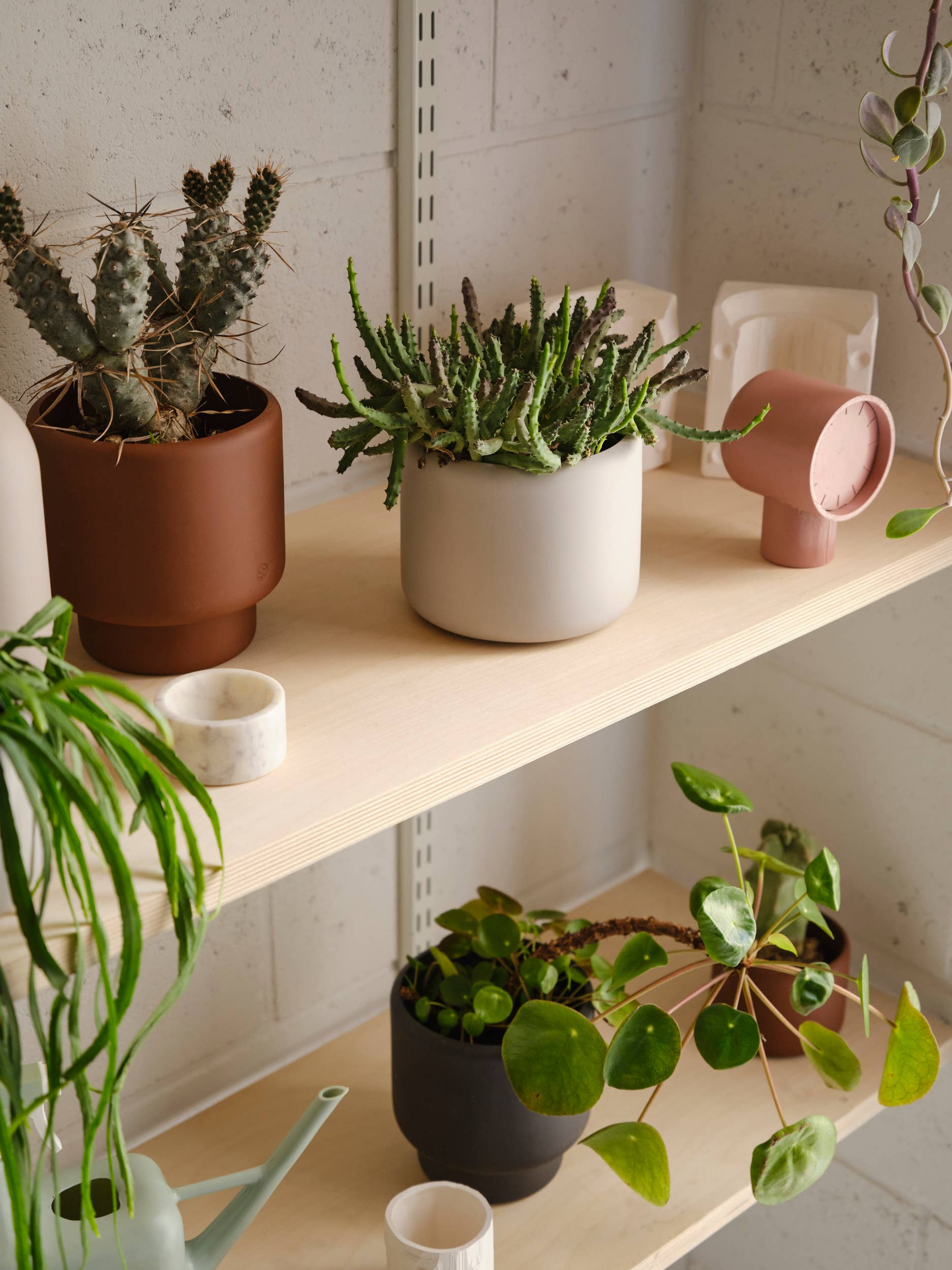 BOTANY porcelain plant pot LARGE: Dark Terracotta