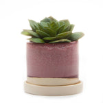 Minute - Glazed Modern Ceramic Pot with Saucer: Blue Aqua / 5"