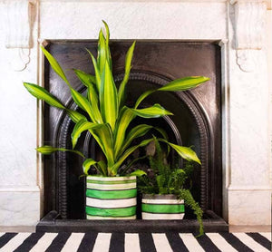 Medium 19 cm - Eco Woven Plant Pot Cover in Grass Green, Indigo & Pearl