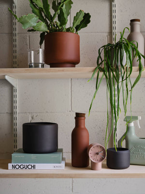 BOTANY porcelain plant pot LARGE: Dark Terracotta
