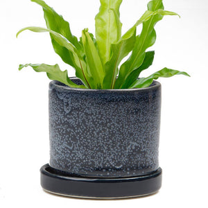 Minute - Glazed Modern Ceramic Pot with Saucer: Blue Aqua / 5"