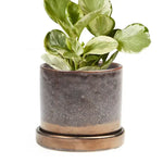 Minute - Glazed Modern Ceramic Pot with Saucer: Bronze Speckles / 5"