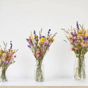 Dried Flowers - Field Bouquet - Multi: Medium