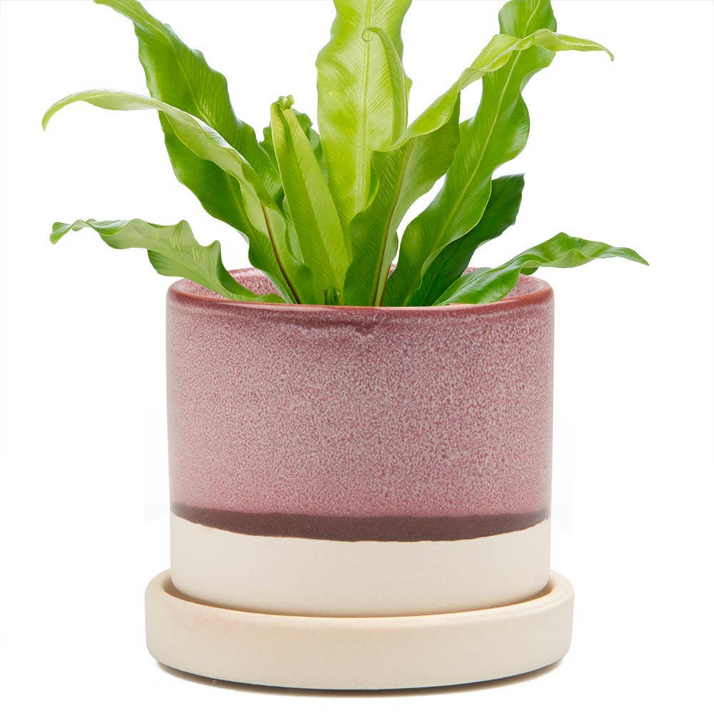 Minute - Glazed Modern Ceramic Pot with Saucer: Blue Aqua / 5"