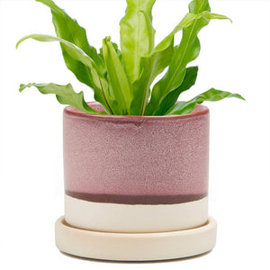 Minute - Glazed Modern Ceramic Pot with Saucer: Blue Aqua / 5"