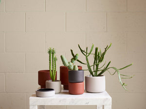 BOTANY porcelain plant pot LARGE: Graphite Black