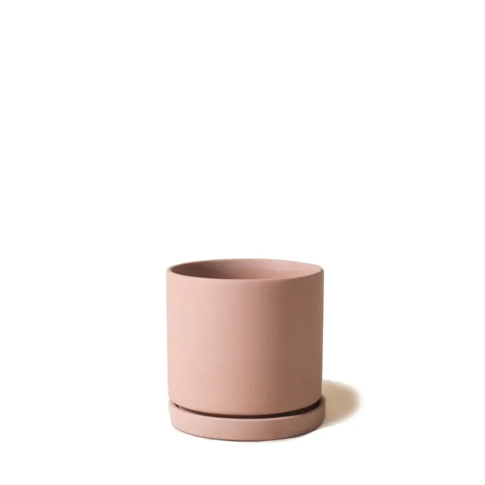 Dojo, 3.5” Pot & Saucer: Sandstone